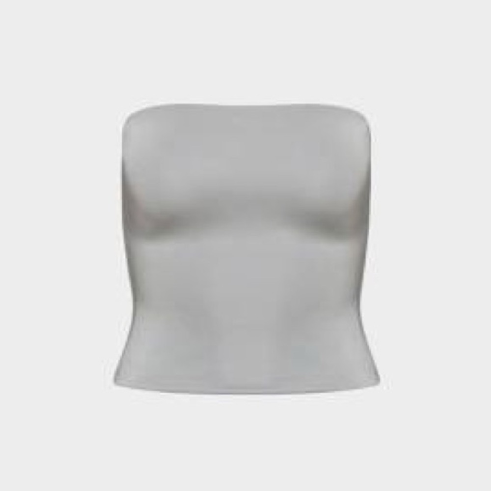 ARITZIA Contour Tube Top in Platinum Chrome